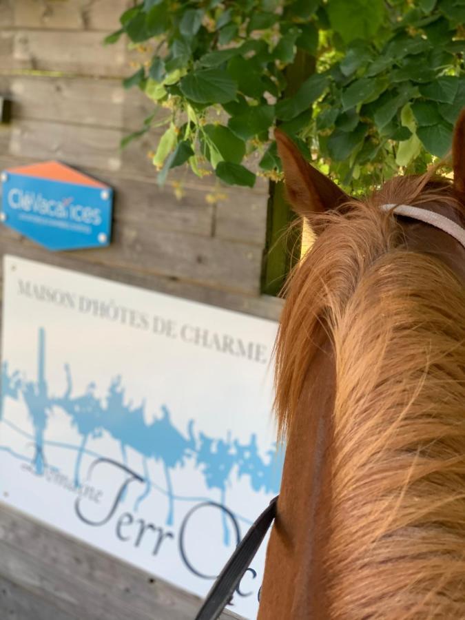 Domaine Terroceane Hotel La-Gripperie-Saint-Symphorien Eksteriør billede