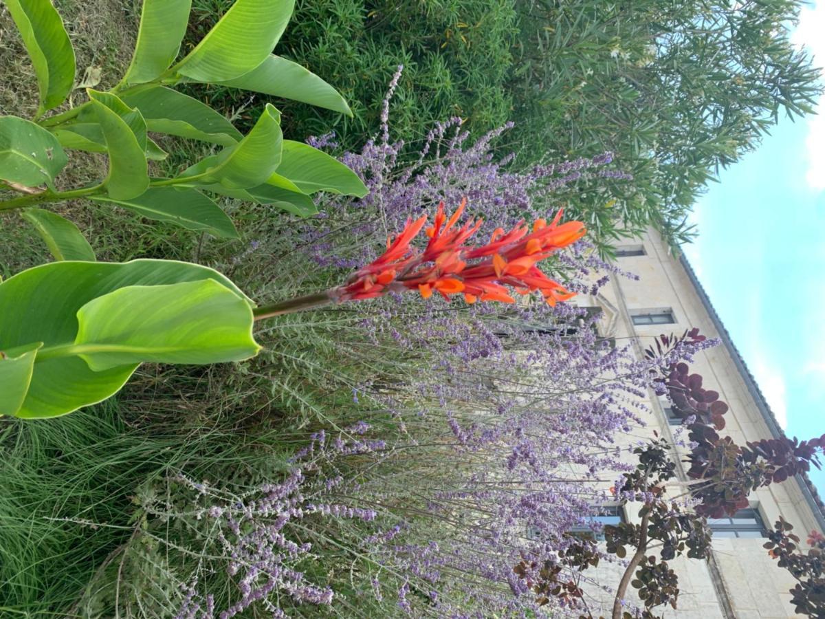 Domaine Terroceane Hotel La-Gripperie-Saint-Symphorien Eksteriør billede