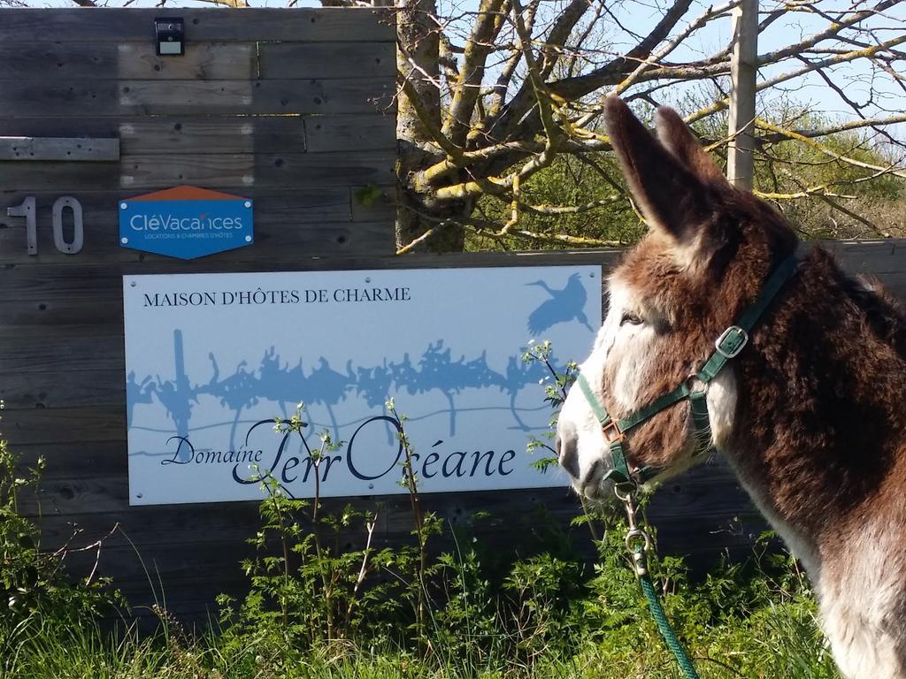Domaine Terroceane Hotel La-Gripperie-Saint-Symphorien Eksteriør billede