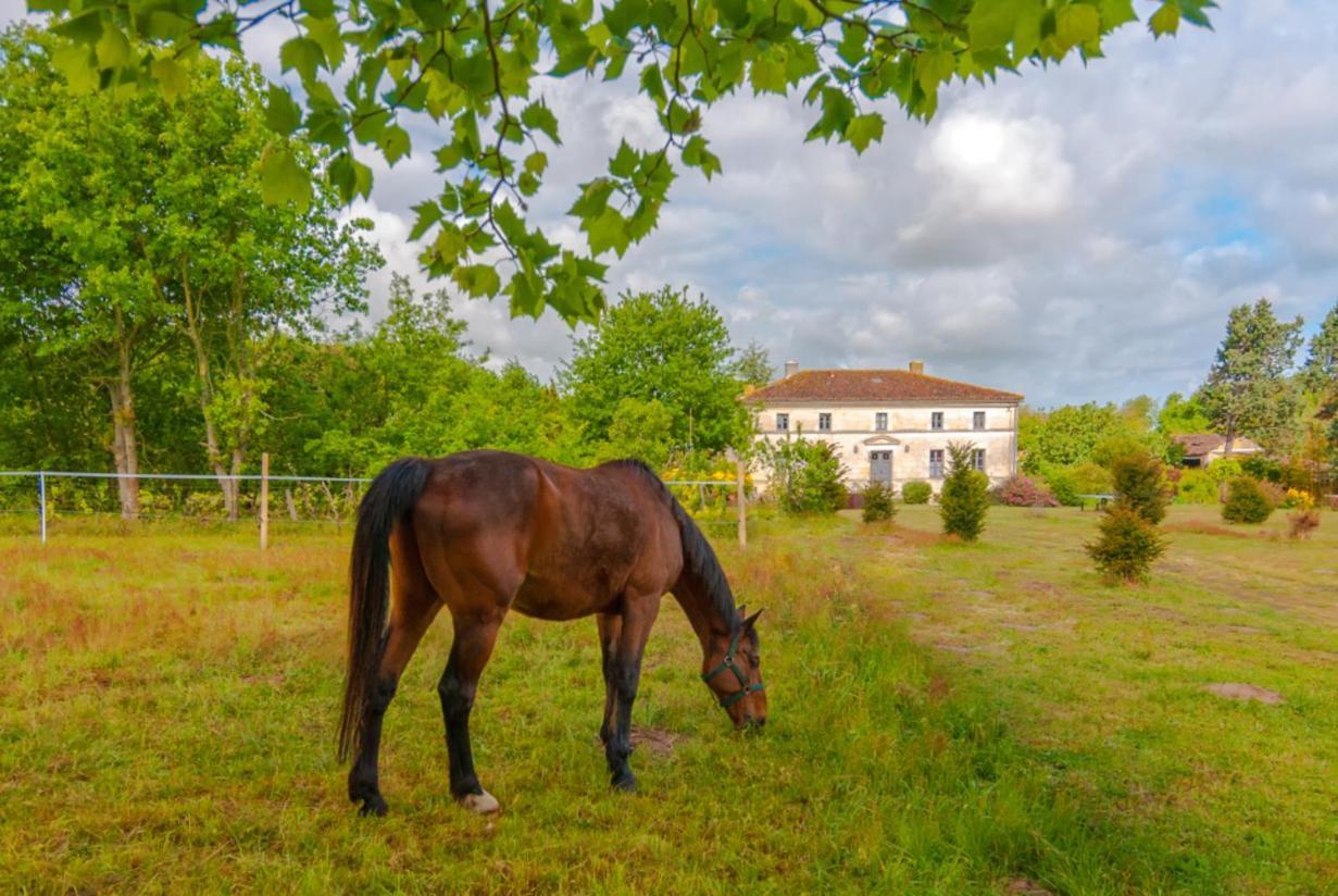 Domaine Terroceane Hotel La-Gripperie-Saint-Symphorien Eksteriør billede